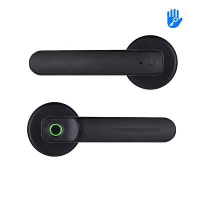 China Ttlock Smart Home Door Lock Fingerprint Lock Cerradura Electric Biometric Inteligente Pulido Handle Lock Hotel Apartments Prison Home Office Con Digital Huella for sale