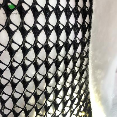 China Industrial Compound 3d Drainage Net Geonet For Landfill And Roadbed Te koop