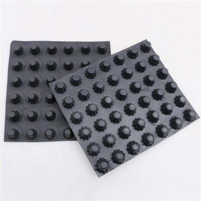 China Industrial Plastic Drain Cell Drainage Board For Roof Garden en venta