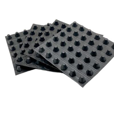 China Industrial Waterproofing Drainage Board For Garden Construction Drainage Board en venta