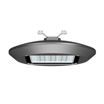 China LM-GSL09F Garden Round Shape Led Garden Light 20-120W for sale