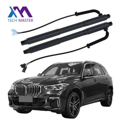 中国 Airmatic Auto parts BMW X5 E70 LCI 2007-2013 LH RH Power Liftgate Air Spring Repair Kits OEM 51247332695 51247332696 販売のため