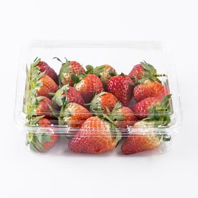 China Agriculture Disposable Plastic Clear Clamshell Strawberry Clamshell Fruit Container Transparent Fruit Packing Box for sale