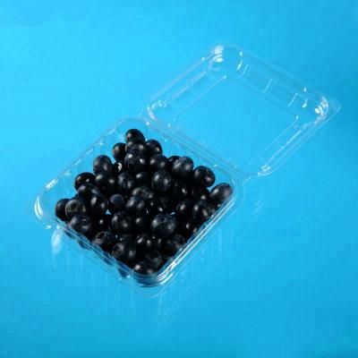 China Blueberry Disposable Plastic Fruit Clamshell Container Clear PET Packing Box For Fruit Raspberry Food Grade for sale