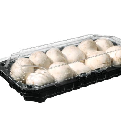 China Agriculture Custom Fruit Blister Packing Container Disposable Food Accept Mushroom Plastic Tray Vegetable Clamshell for sale