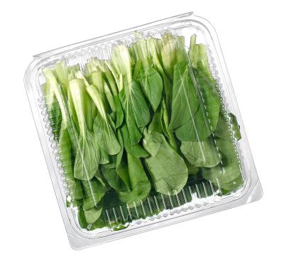 China Eco-friendly Agriculture PET Plastic Fruit Boxes For Supermarket Transparent Vegetable Clamshell Salad Hinged Container for sale