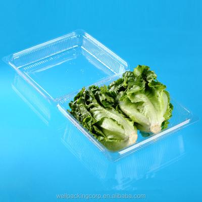 China Disposable Plastic Fruit Clamshell Lettuce Packaging for sale