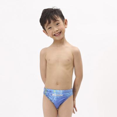 China Hot Sale Lion Printed Kids Swimwear Breathable Hot Briefs For Boys for sale