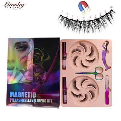 China Natural New Arrival 10 Magnets Eyelashes And Eyeliner Set With 6 Pairs Faux Mink Eyelash for sale