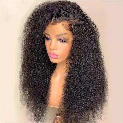 China Kinky Curly Glueless Full Hd Lace Wigs Mensenhaar Wigs Voor Volledige Densiteit 180% Te koop