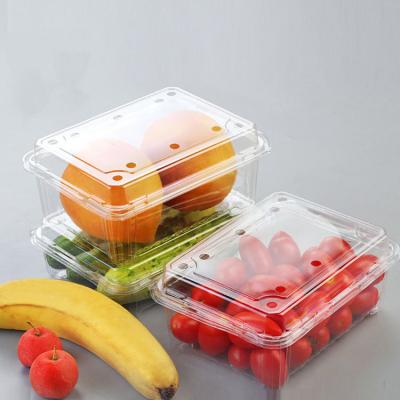 China Restaurant PET Disposable Plastic Salad Vegetable Box Container Blister Packing Fruit&food Container for sale