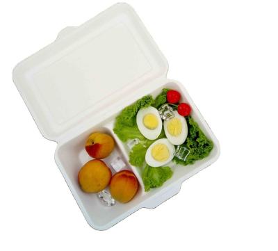 China Hot Sale Disposable 9x6x3 2 Compartment Sugarcane Bagasse Biodegradable Food Container Bento Meal Takeout Lunch Box Safe Microwavable for sale