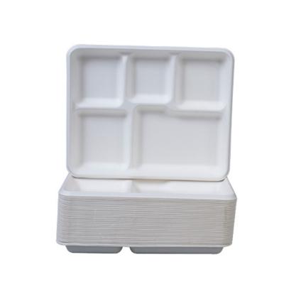 China Microwavable School Use 5 Compartment Lunch Box Biodegradable Microwave Safe Food Container For Sugarcane Bagasse Paper Food Takeaway for sale