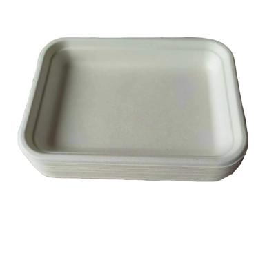 China Eco Disposable Rectangular Tray Sugar Cane Bagasse Pulp Compostable Biodegradable Disposable Tray for sale