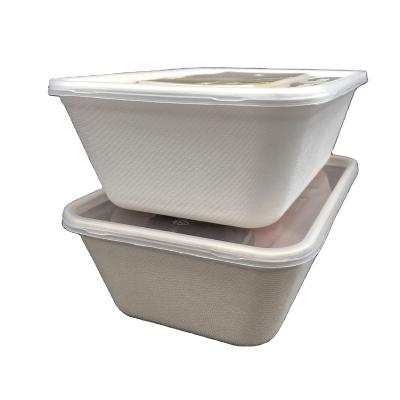 China Disposable High Quality Standard 100% Biodegradable Food Trays Disposable Molded Food Trays for sale