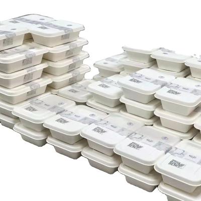 China Bagasse Takeaway Food Container Biodegradable Disposable Noodle Bowl With Lid for sale