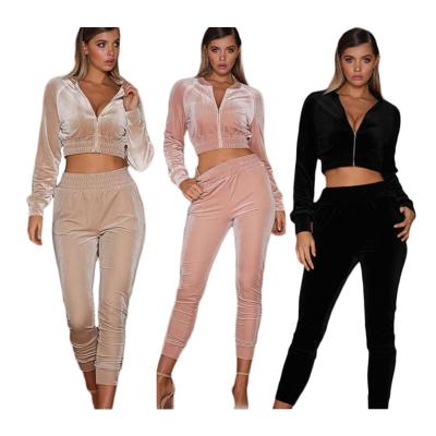 China Plus Size 2022 Fashionable Custom Made Velvet Sweatsuit Simple Tracksuit For Women for sale