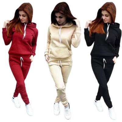 China Fashion Breathable Gym Clothing Womens Equipments Hooded Workout Clothing Set for sale