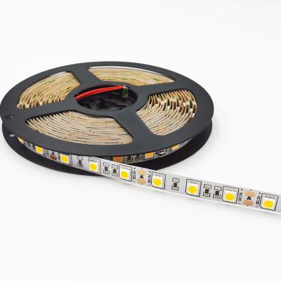 China Chinese suppliers of indoor or outdoor decoration 10Mm led strip 5050 led strip lights 12V led strip light flexible for sale