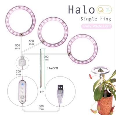 China YLShine China Top Quality Indoor Factories Small Three Rings To Version Kits Led Grow Light Indoor Lamp for sale