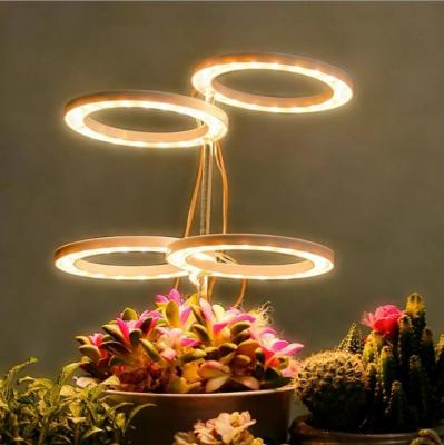 China DC5V USB Indoor Full Angle Ring Grow Light Spectrum LED Timing Plant Dimmable Adjustable Lamps for Potted Succulents for sale