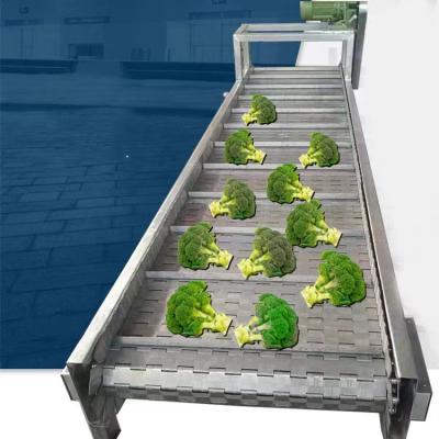 China Heat Resistant Line Fruit and Vegetable Machine Conveyor System Slat Cleaning Stainless Steel Chain Plate Conveyor System for sale