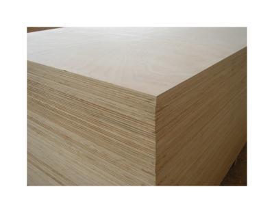 China Precision Hardwood Hardwood Bulk Furniture Tech Production White Cuboid Plywood for sale