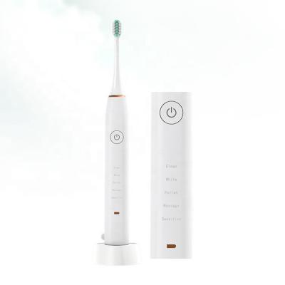 China Dupont soft nylon private label electric toothbrush whitening rechargeable dupont sonic electric toothbrush for sale