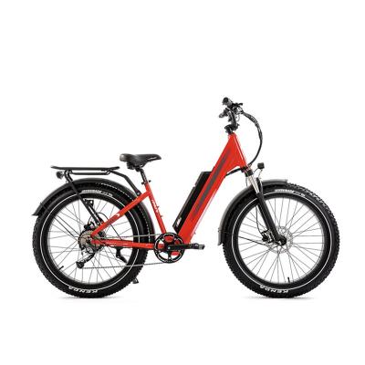 China 2021 Aluminum alloy city bike snow ebike electric tire e bikes new fat 48v 750w step-thru e-bike for sale