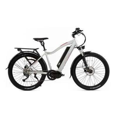 China Fat tire aluminum alloy 2021 (old) e-drive bafang g510 mid bike 750w frame electric motor bikes hwfly e-bike for sale