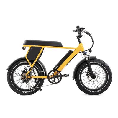 China Aluminum Alloy Style Mini Fat Tire Electric Bike Vintage Rider Snow Beach Moped 750W 48V 16AH Electric Bike for sale