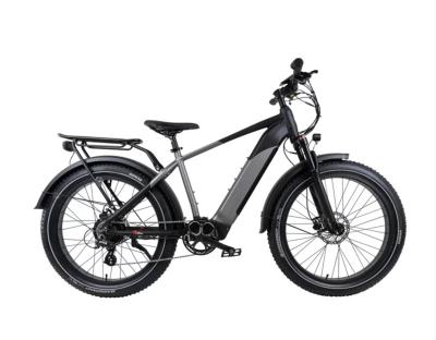 China Fat Tire Aluminum Alloy Electric Snow Beach Bike Electric Mountain Bike for sale