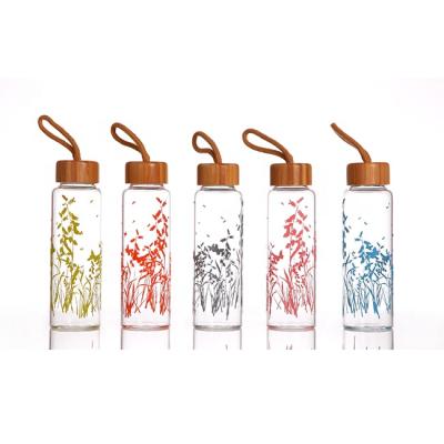 China 400ml 500ml 700ml 900ml Borosilicate Glass High Quality Viable Classic Water Bottle for sale