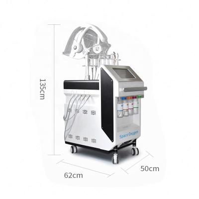 China Multifunctional Pigment Removal Skin Beauty Equipment Hydra Facials Machine 12 in 1 Oxygen Hydra Face Care Clean Facial Machine Commercial Use for sale