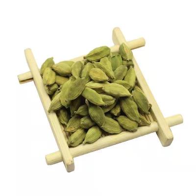 China Dried Green Cardamom Flavoring Gourmet Drink From Mysterious Areas Is Your Best Choice for sale