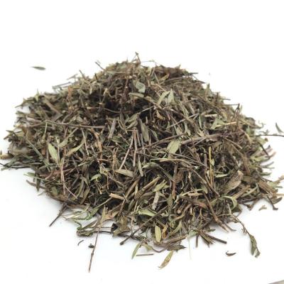 China Dry Spices Supplier Wholesales Western Famous Cooking Spices A Class Western Thyme Cooking Seasonings Thyme Leaf Lemon Thyme for sale