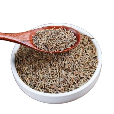 China China Dry Spice Supplier Wholesale Sales BBQ Spices High Quality Cumin Powder Kalo Jeera GanShu Cumin Seeds for sale