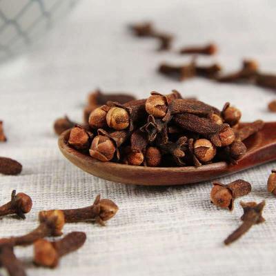 China China Main Dry Spices Supplier Wholesale High Quality China Ground Cloves Meat Cooking Spices Raw Cloves Clove With Cheap Price for sale