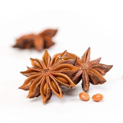 China High quality Vietnamese dried star anise spice and spice food ingredients at good prices. for sale