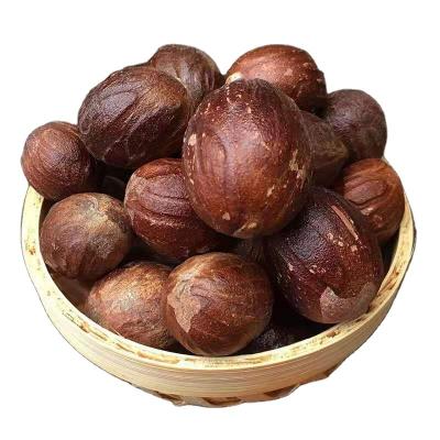 China China leading dry spice supplier sell high quality natural spice whole nutmeg in shell nutmeg with best whole shell nutmeg for sale