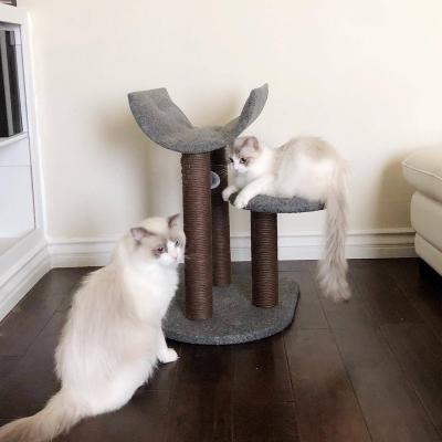 China Large Cat Scratcher Tree Tower Wooden Large Cat Tree House Scratching Post For The Viable Wall for sale