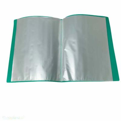 China PP Manufacturer Hot Selling Document Holder 30 Pockets File Transprant Folder F/c Display Book for sale