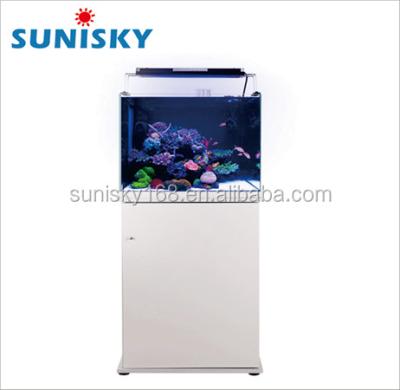 China Sources Glass Aquarium Glass Aquarium Glass Tank Viable Marine Marine Fish for sale