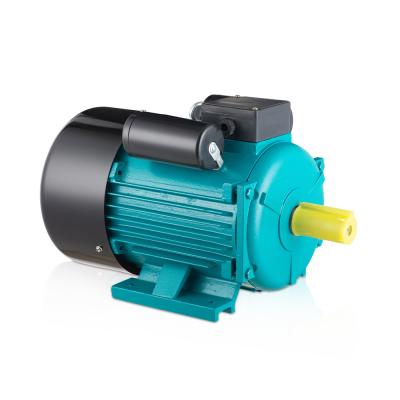 China AC 1Hp Waterproof Single Phase Asynchronous Induction Electric Motor for sale