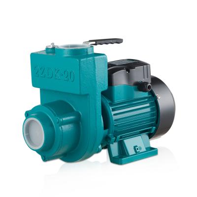 China Smart Portable Electric Booster Self Priming Water Pump 220V ZDB For Family Homes for sale