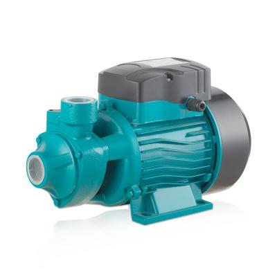 China Mini Electric 220V 3000L/H QB60 QB70 QB80 Buildings Mission Commercial High Pressure Magnum Micro Vortex Water Pump for sale