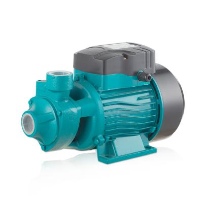 China STRATEGY 220V 0.75hp 1hp Commercial Domestic Vortex Buildings Peripheral Clean Water Pump for sale