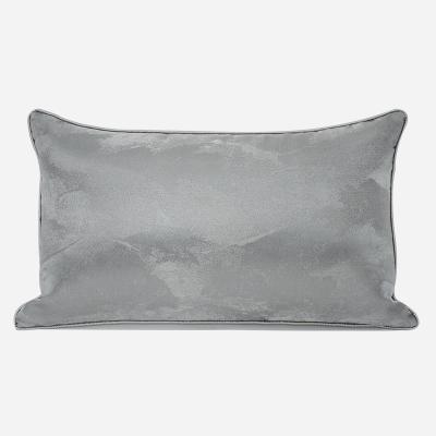 China Nondisposable Long Pillow Case Sofa Living Room Pillow 30 * European Light Luxury Pillow 50 Model Room Size Gray Abstract Pillow Case Home for sale