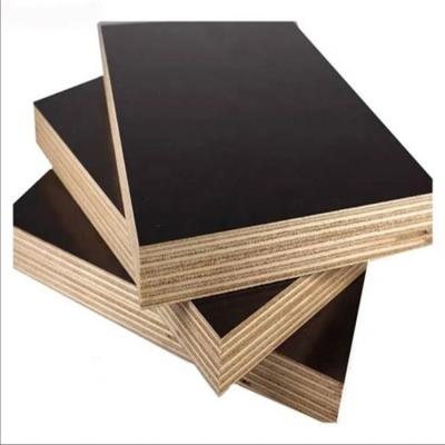 China Modern Skillful Design Manufacturer Supply Commercial Construction Plywood for sale