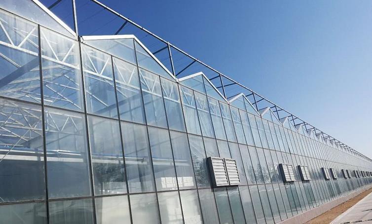 Verified China supplier - Qingzhou Shengqiang Greenhouse Technology Engineering Co., Ltd.